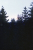 Die Sonne versinkt